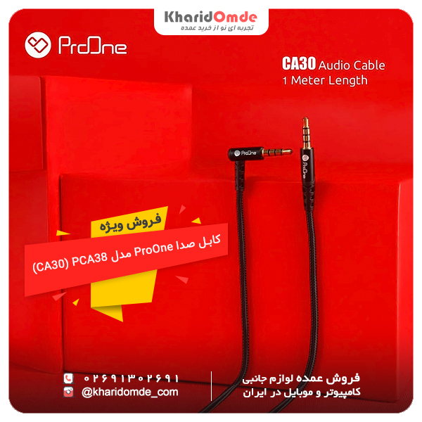 مشخصات  و قیمت خرید عمده کابل AUX پرووان مدل CA30 طول 1 متر